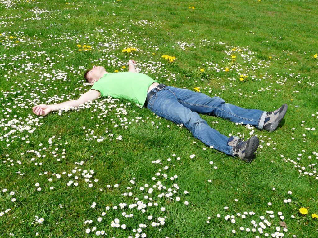 How to look after your lawn in spring