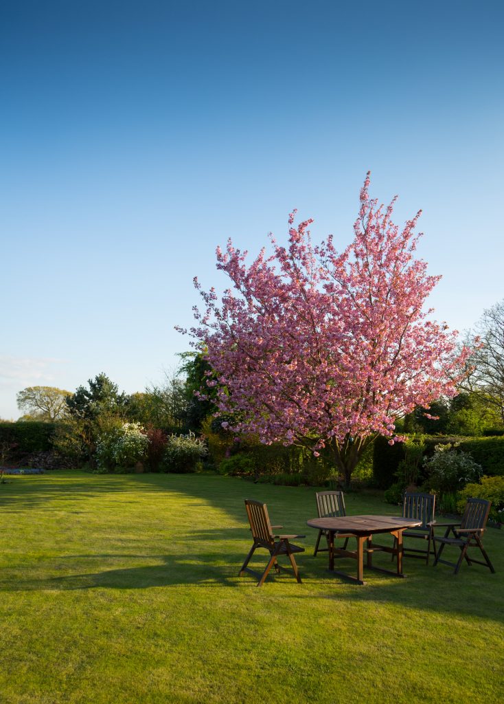 Looking after your lawn in winter