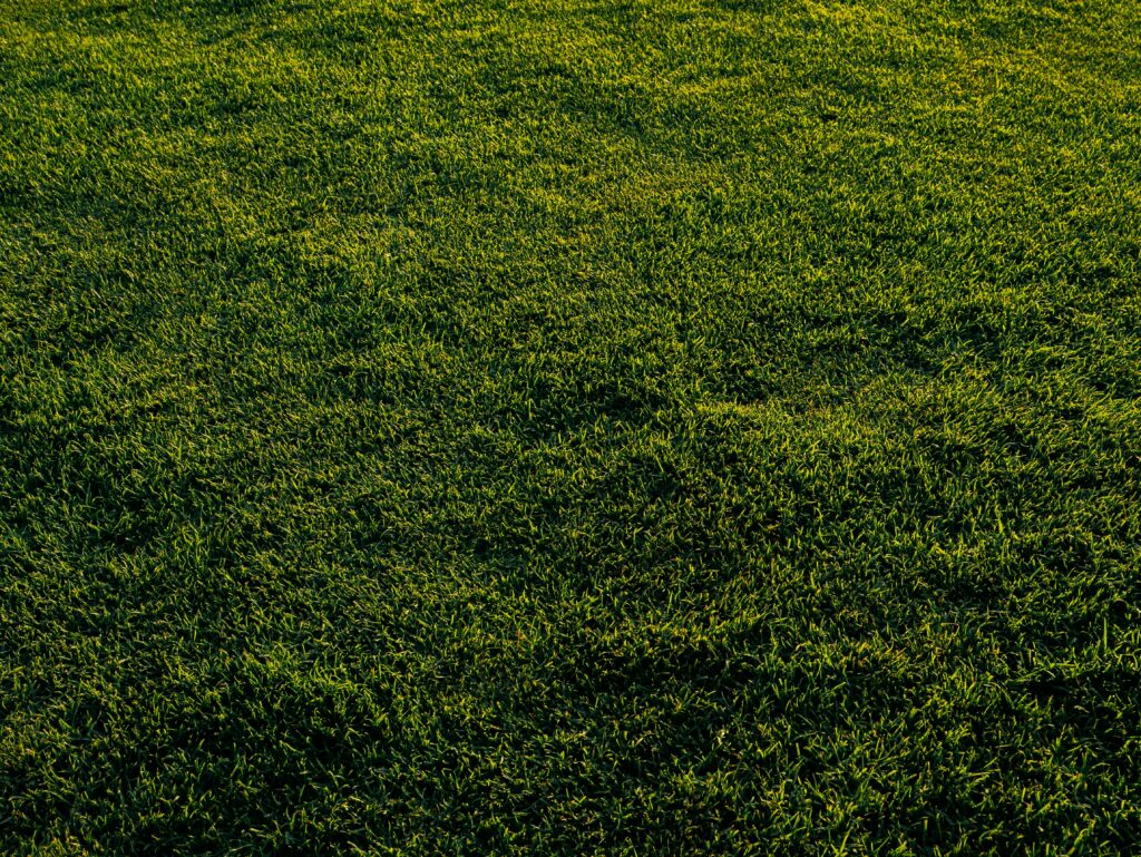 Autumn 2026 Lawn Care Checklist How to Keep Your Grass Healthy Through Winter