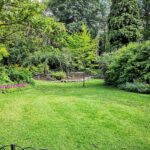 Heatwave Lawn Care How to Prevent Grass from Drying Out & Dying