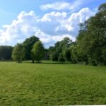 How Lawn Aeration Can Solve Drainage Problems & Improve Grass Growth