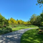 How Professional Lawn Care Saves You Time & Enhances Curb Appeal