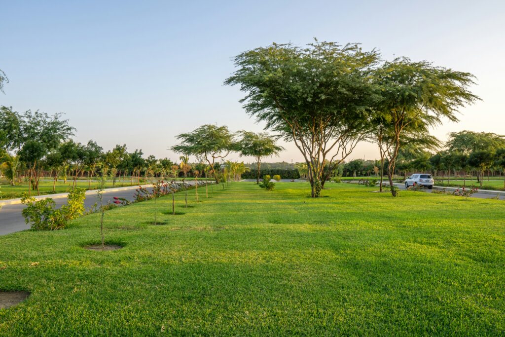 How Professional Lawn Maintenance Can Improve Your Business’s Curb Appeal