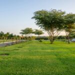 How Professional Lawn Maintenance Can Improve Your Business’s Curb Appeal