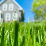 Lawn Scarification & Aeration The Secret to a Lush, Disease-Free Lawn