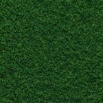 The Benefits of Hiring a Lawn Care Specialist vs DIY Lawn Maintenance