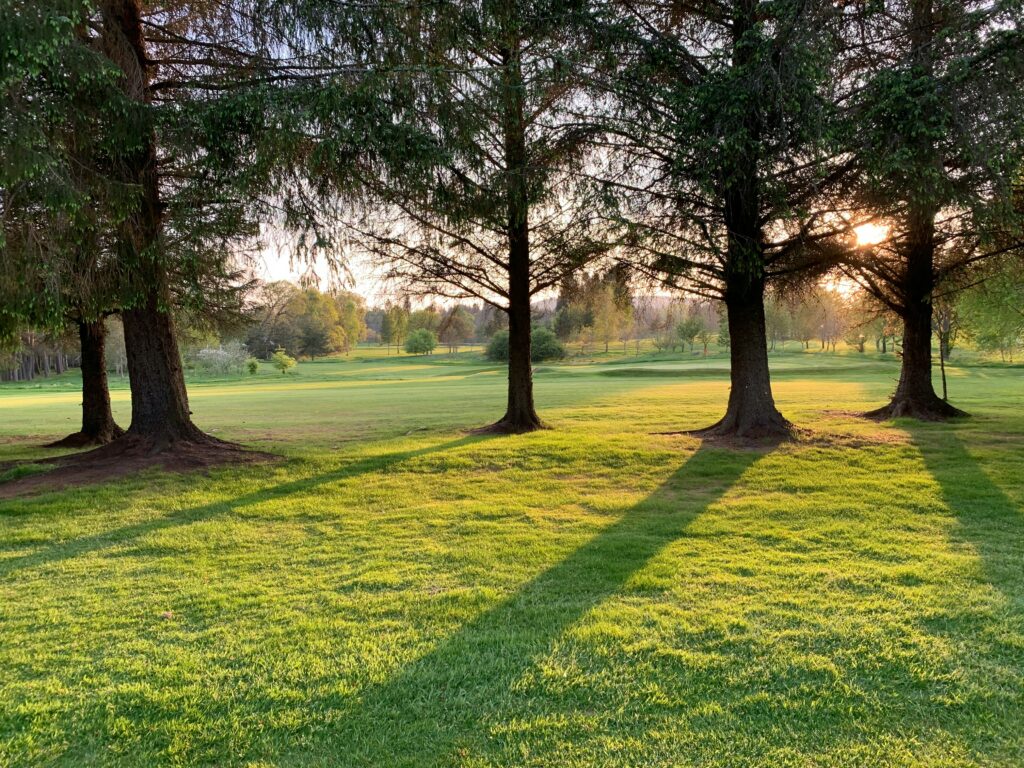 The Environmental Benefits of Healthy, Well-Cared-For Grass