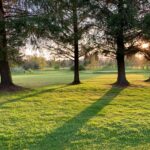 The Environmental Benefits of Healthy, Well-Cared-For Grass