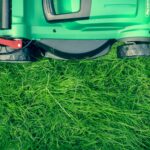 Turf vs Natural Grass Which Is Best for Your Hampshire Garden
