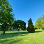 Why Commercial Lawn Care Is Essential for Business Properties & Estates