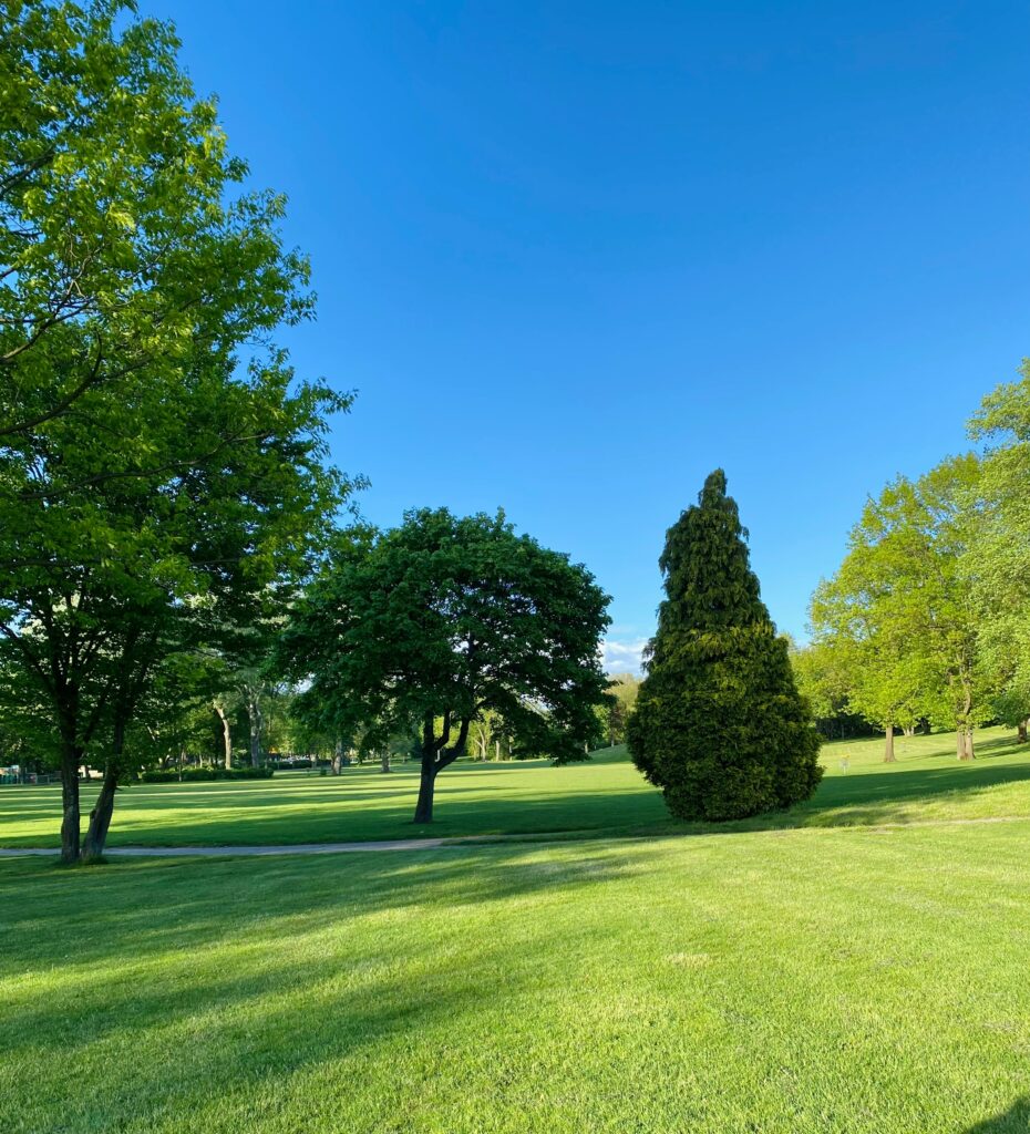 Why Commercial Lawn Care Is Essential for Business Properties & Estates