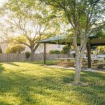 Why Regular Lawn Maintenance Is Essential for a Healthy, Green Lawn
