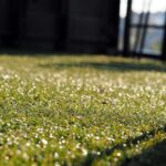 Artificial Grass Installation Southampton Is Astro Turf Right for Your Garden
