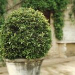 Landscaping in Eastleigh