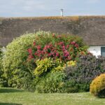 Landscaping in Totton