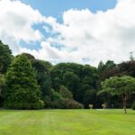 Landscaping in Romsey