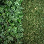 Artificial Grass vs Natural Lawn Which Is Right for Your Garden