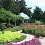 Landscaping in Hedge End