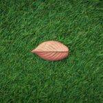 Artificial Grass Installation in Southampton and Hampshire