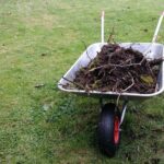 Garden Clearance & Preparation in Hampshire