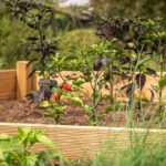 Raised Beds & Garden Structures in Hampshire