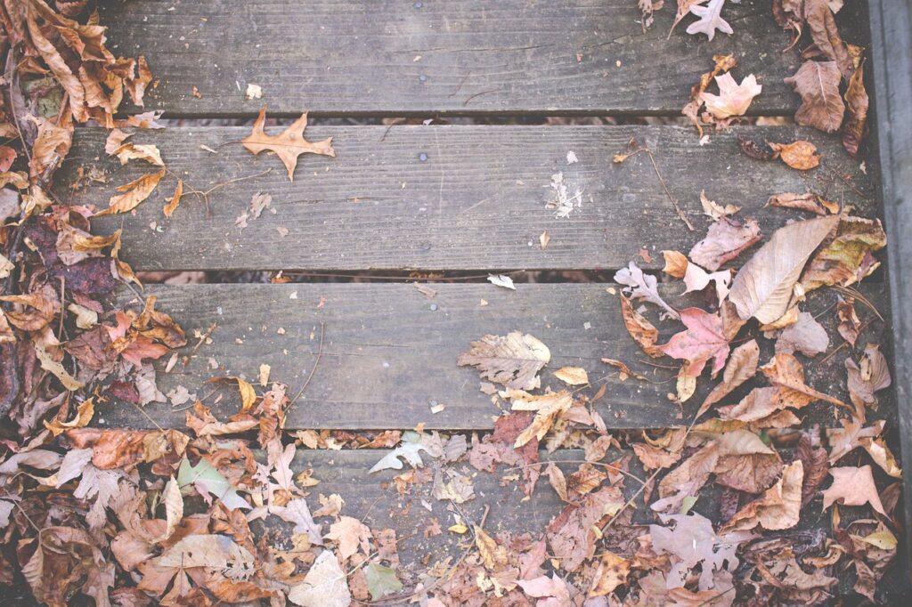 Garden Clearance and Commercial Grounds Maintenance in Southampton