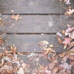 Garden Clearance and Commercial Grounds Maintenance in Southampton