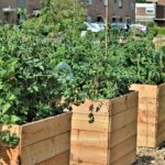 Garden Landscaping Transformations in Southampton