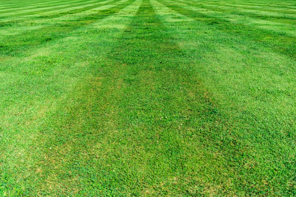 Turfing and Artificial Grass in Southampton