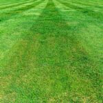 Turfing and Artificial Grass in Southampton