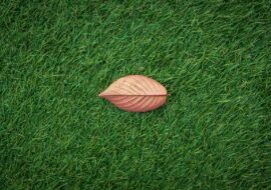 Artificial Grass Installation in Southampton and Hampshire