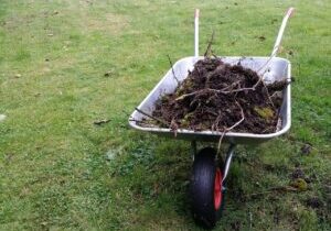 Garden Clearance & Preparation in Hampshire