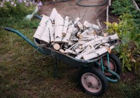 Garden Clearance and Preparation in Hampshire