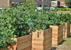 Garden Landscaping Transformations in Southampton