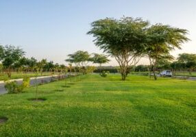 How Professional Lawn Maintenance Can Improve Your Business’s Curb Appeal