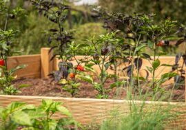 Raised Beds & Garden Structures in Hampshire