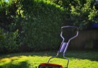 Reliable Lawn Care in Southampton The Secret to a Lush, Vibrant Garden