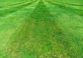Turfing and Artificial Grass in Southampton