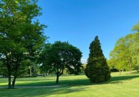 Why Commercial Lawn Care Is Essential for Business Properties & Estates Why Commercial Lawn Care Is Essential for Business Properties & Estates
