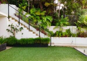 Why Summer Lawn Care Is Crucial to Prevent Dry & Patchy Grass